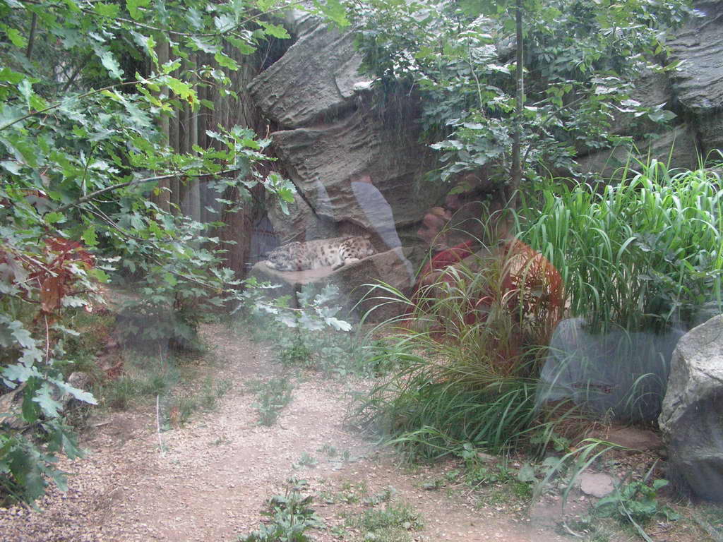 Vysočina 2007