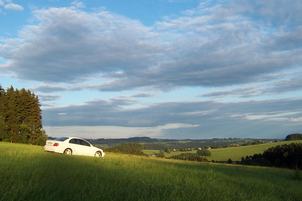 Bohemka 2006