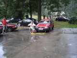 Tygřice