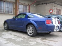 01 - 2005 - Ford Mustang GT Shelby_resize.jpg