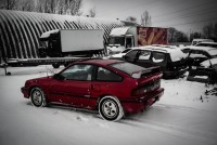 05 KachnaCRX.jpg