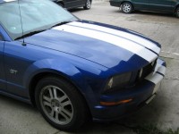 10 - 2005 - Ford Mustang GT Shelby_resize.jpg