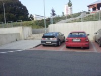 20120903_091956.jpg