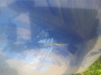 20130522_182949.jpg