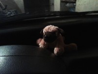 2013-03-13 22.18.36.jpg