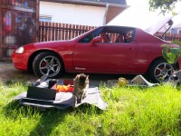 20140531_172834.jpg
