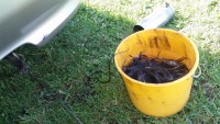 20180630_172506.jpg
