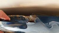 20201007_174017.jpg