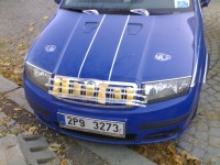 28112011303.jpg