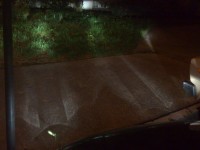 29052009522.jpg