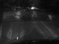 29052009523.jpg