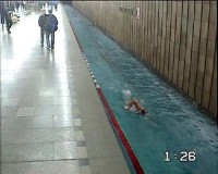64.jpg
