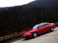 _Marty_.jpg