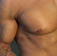 biceps.jpg