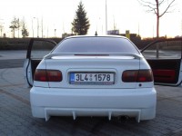 CIMG1245.jpg