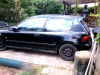 civic (2).jpg