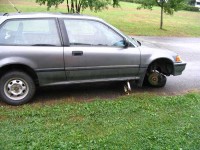 civic Laci.jpg
