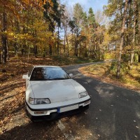 crx_21.jpg