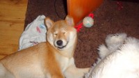 DSC00001.JPG