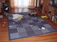 DSC00397.JPG