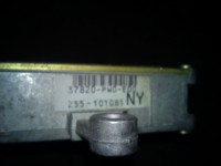 DSC00425.jpg