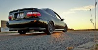 DSC006155.jpg