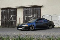 DSC007155555.jpg