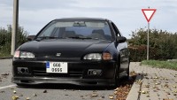 DSC01409.jpg