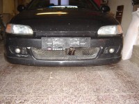 DSC01417.jpg