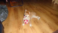 DSC01539.JPG