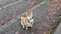 DSC01793.JPG