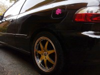 DSC02114.jpg
