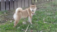 DSC02288.JPG
