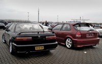 DSC02950-1.jpg
