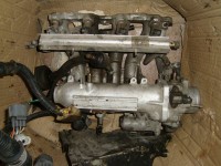 DSC05953.JPG