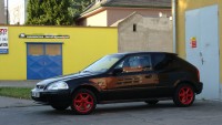 DSC08693.JPG