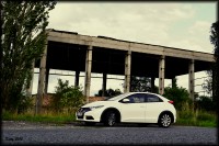 DSC_0049x.jpg