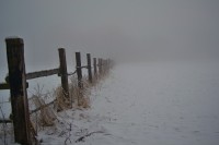 DSC_0151.jpg