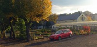 DSC_0156-h-c.jpg