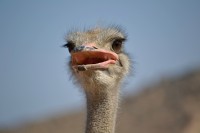 DSC_0639.JPG