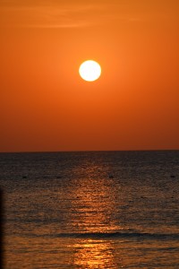DSC_0834.JPG