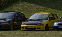 DSC_2390.jpg