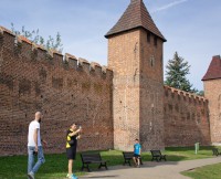 DSC_7251_small.jpg