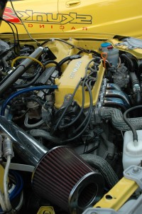 DSC_8015.JPG