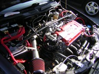 DSCN4973.JPG