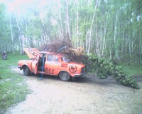 foto-0013.jpg