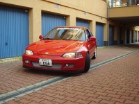 hondamens.JPG