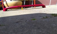 IMAG0064.jpg