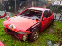 IMAG0098.jpg