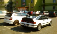 IMAG0266.jpg